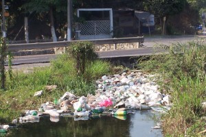 Mancha urbana daña a cultivos en Lázaro Cárdenas