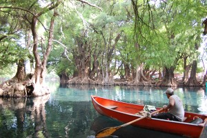 Capacitan a prestadores de servicio en Zamora