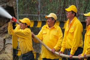 Exaltan a brigadistas de Zamora