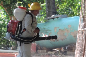 “Descacharrizan” escuelas para evitar el chikungunya