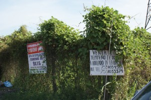 Pondrán freno a fraccionamientos irregulares