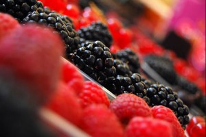 Culmina Tercer Diplomado en Producción de Berries