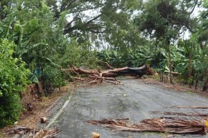 Patricia deja 2 mil viviendas afectadas en Michoacán