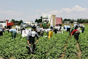 Fuertas lluvias de Patricia fueron buenas para el campo