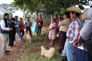 Atienden necesidades en Salvador Escalante