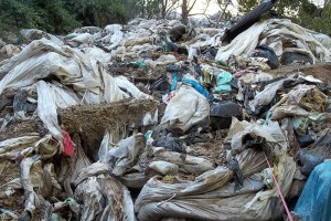 Lluvias provocan desastre ecológico en LC