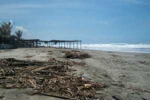 Siguen los juicios en el caso de La Isla de La Palma