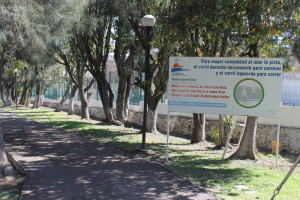 Pista de tartán, en deplorables condiciones