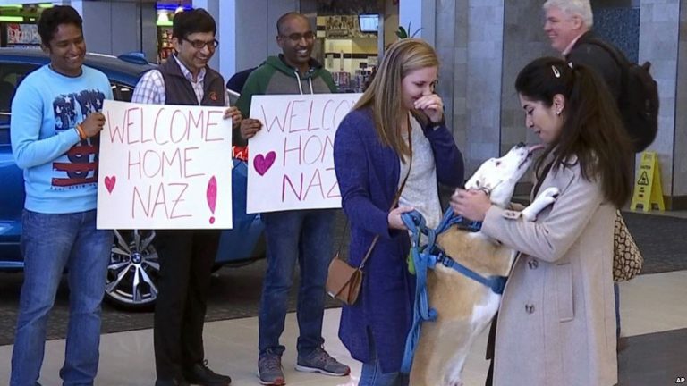 Corte Suprema restablece veto migratorio del presidente Trump